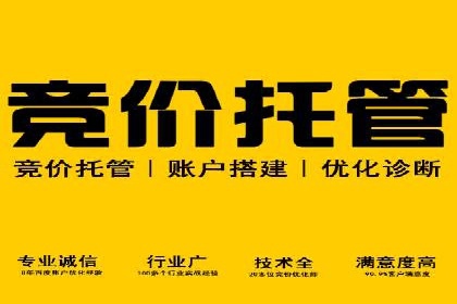 竞价托管实战案例：优化广告预算分配